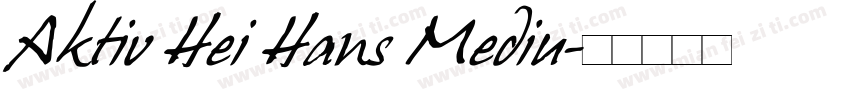 Aktiv Hei Hans Mediu字体转换